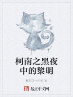 柯南之黑夜中的黎明 柯南之黑夜中的黎明