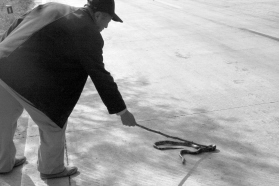 吉林柳河境內公路現蛇群