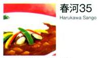 春河35