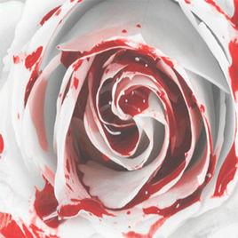 天真的預言[天真的預言]