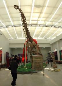 甘肅省地質礦產勘查開發局