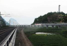 衢麗鐵路 衢麗鐵路