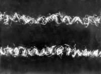 變形纖維 變形纖維