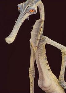 阿爾達·比多 阿爾達·比多