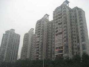 創新綠色家園 創新綠色家園