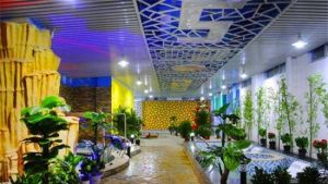 京林溫泉 京林溫泉