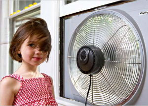 電扇冬粉 電扇冬粉