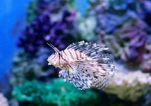 中泰海底世界景觀