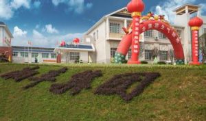 湘豐集團 湘豐集團