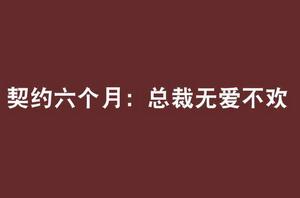 契約六個月:總裁無愛不歡 契約六個月:總裁無愛不歡