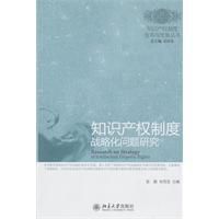 智慧財產權制度戰略化問題研究 智慧財產權制度戰略化問題研究