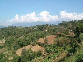 忙度自然村 忙度自然村