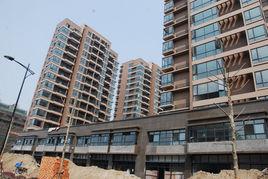 名城左鄰右舍 名城左鄰右舍