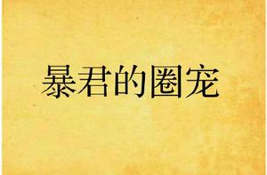 暴君的圈寵 暴君的圈寵