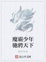 魔霸少年馳騁天下 魔霸少年馳騁天下
