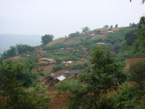 總廣寨村 總廣寨村