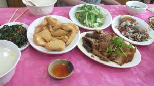 麻葉豆腐柴 麻葉豆腐柴