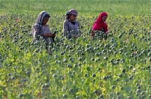 聯合國國際麻醉品管制署