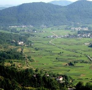 蘿蔔地村[雲南紅河州金平縣馬鞍底鄉普瑪行政村下轄村]