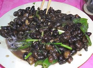 百燕打傘 百燕打傘