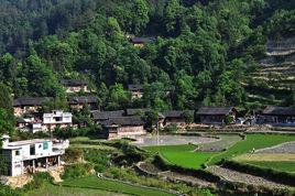 下壩村[雲南省曲靖市會澤縣樂業鎮下壩村]