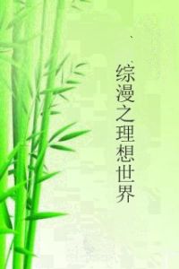 綜漫之理想世界 綜漫之理想世界