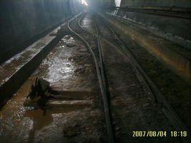 有軌運輸 有軌運輸