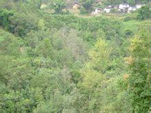 回龍村[雲南省保山市隆陽區丙麻鄉回龍村]