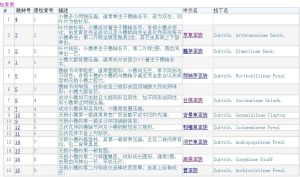 高粱族Trib. Andropogoneae Dumort.