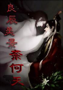 良辰美景奈何天[良辰美景奈何天（如意嫫嫫小說）]