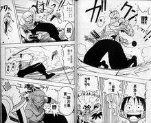 劉浩[小說《海賊王之無雙系統》中的角色]