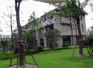 湯臣湖庭花園一期至二期