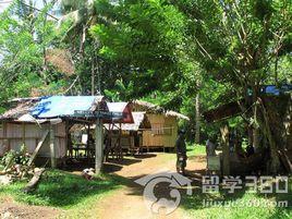 巴吞他尼 巴吞他尼