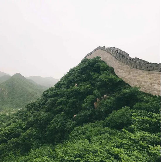 這些歪果仁都羨慕萬分的中國美景,你去過幾個?