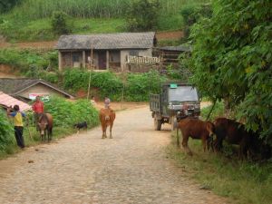 上那裡村 上那裡村