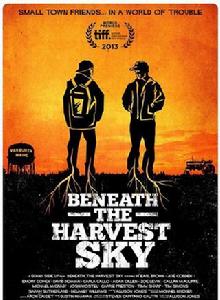 收穫的天空下 收穫的天空下