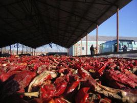 王鳳樓鎮 王鳳樓鎮