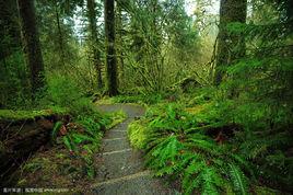 jungle[日本BL漫畫]