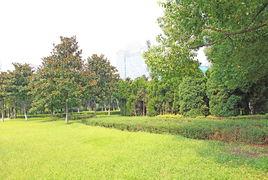 蘇州中央公園 蘇州中央公園