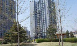 公園5號 公園5號