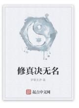 修真決無名 修真決無名