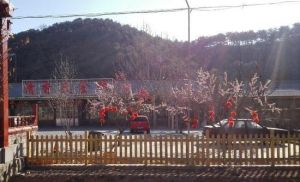 清香園美食城 清香園美食城