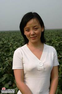 《棉花兒盛開》