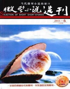 《微型小說選刊》