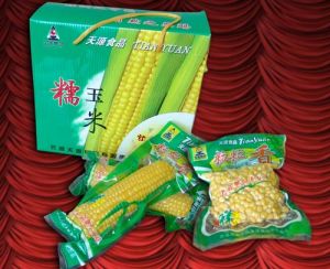 紙業公司沙漠生態園