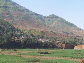 枯木村[雲南省文山富寧縣木央鎮木令村委會]