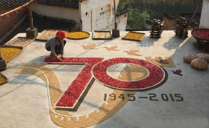 婺源篁嶺“曬秋”紀念抗戰勝利70周年