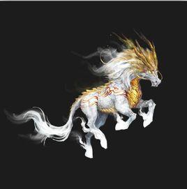 龍馬網路 龍馬網路