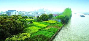 前街二自然村 前街二自然村