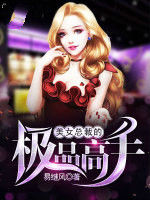 美女總裁的極品高手 美女總裁的極品高手